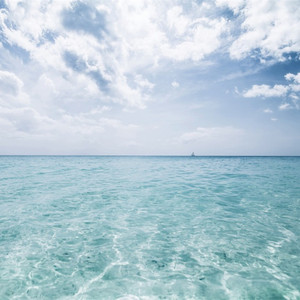 7M精品福利视频导航
