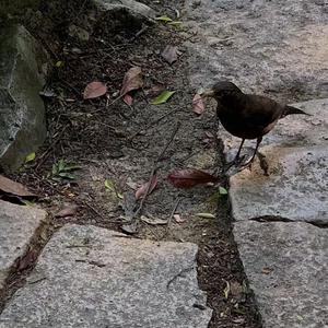 7M精品福利视频导航
